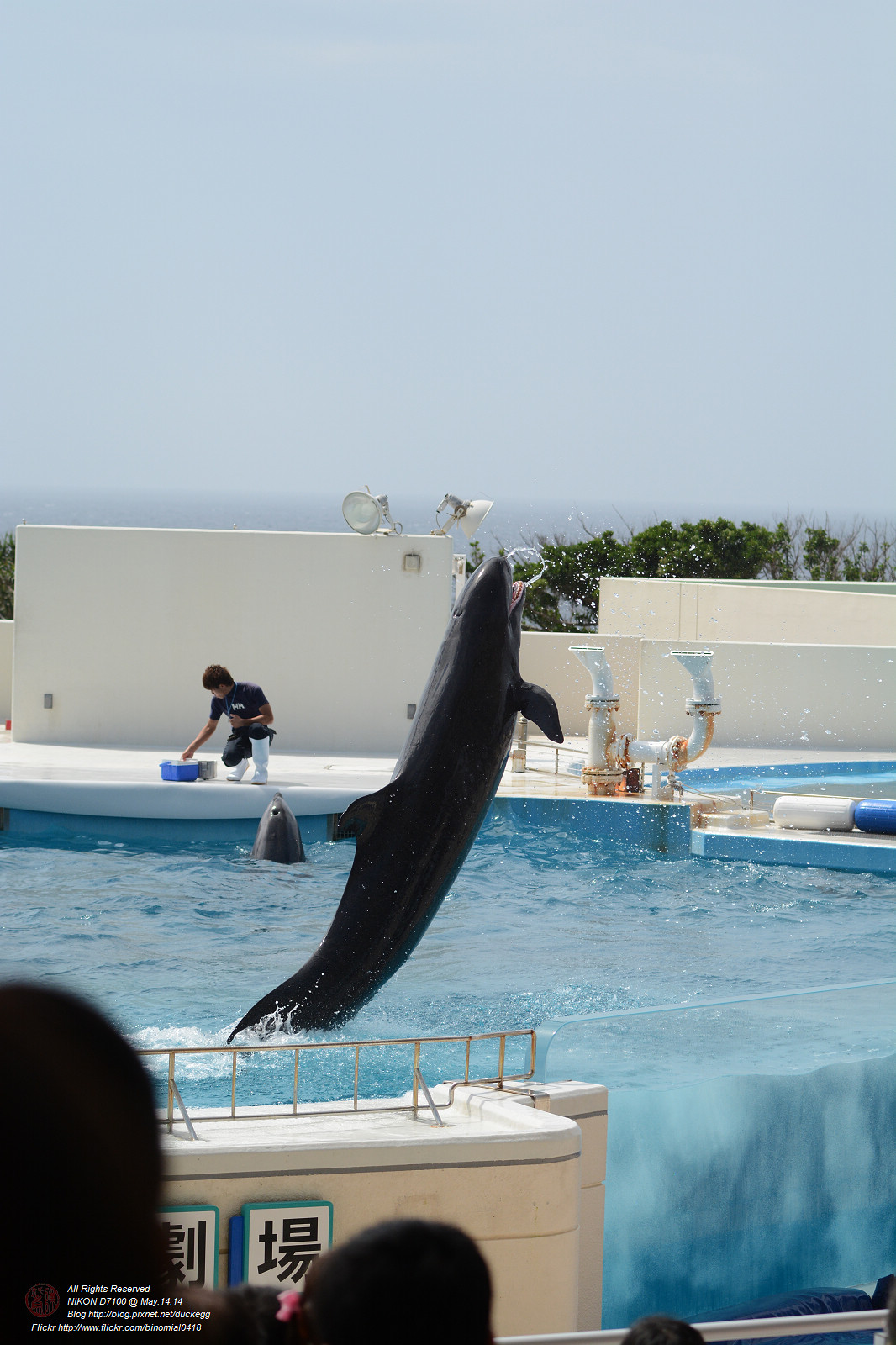 DSC_3076.jpg